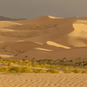 Sand Dunes at Sunset. Gobi Desert. Mongolia Sand Dunes at Sunset. Gobi Desert. Mongolia