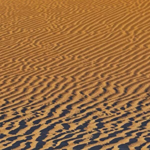 Sand ripple patterns in the desert of Sossusvlei, Namibia