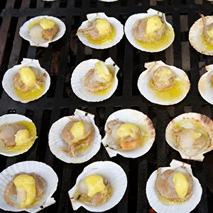 Scallops on Barbeque