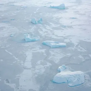 Sea ice with icebergs in the Baffin Bay, between Kullorsuaq Sea ice with icebergs in the Baffin Bay, between Kullorsuaq