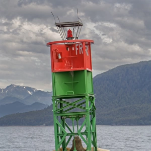 Seals resting on buoy. Juneau. Alaska