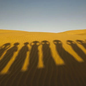 Shadows of waterbearers, Thar Desert, India