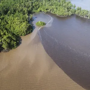 Shell Beach North Guyana Print