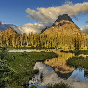 Sinopah Mountain reflects in beaver pond in Two Medicine Valley in Glacier National Park