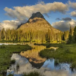 Sinopah Mountain reflects in beaver pond in Two Medicine Valley in Glacier National Park