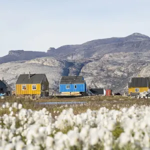 Ikerasak Village Print, Greenland Ikerasak Village Print, Greenland