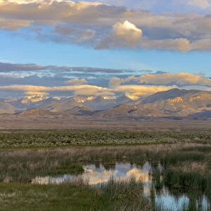 Snake Mountains reflecting into wetlands of Great Basin National Park, Nevada, USA