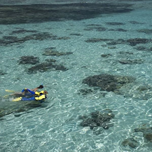 Snorkelers and Reef, Green Island, Great Barrier Reef Marine Park, North Queensland