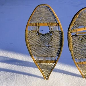Snow shoes were typically used by the Subarctic and Arctic peoples for walking on deep snow