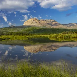 Sofa Mountain Print Reflecting into Beaver Pond in Alberta Sofa Mountain Print Reflecting into Beaver Pond in Alberta