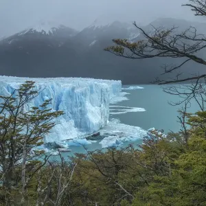 South America, Argentina, Patagonia, El Calafate. Glacial ice on Lake Argentina