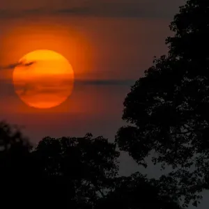 South America. Brazil. A colorful orange sunset in the Pantanal, the world s South America. Brazil. A colorful orange sunset in the Pantanal, the world s