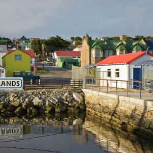 South America, Falkland Islands