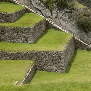 South America, Peru, Machu Picchu. Close-up of agricultural terraces. (UNESCO World