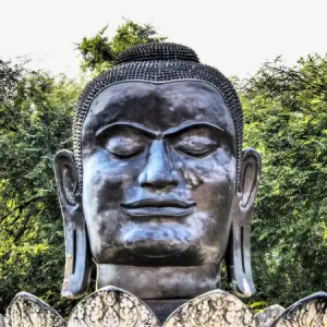 South East Asia, Thailand; Ayutthaya; The giant head of the black Buddha in the Lotus