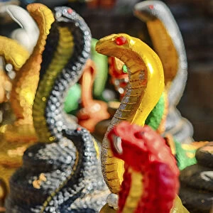 South East Asia; Thailand; Chiang Mai; Cobra Snake replica display