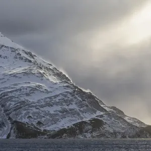 Southern Ocean, South Georgia, Salisbury Plain, Snowy peaks surround Salisbury Plain