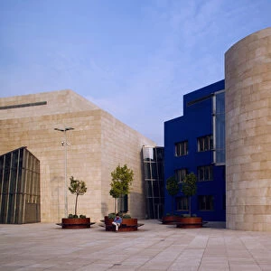 Spain, Basque Country Region, Vizcaya Province, Bilbao, The Guggenheim Museum, designed