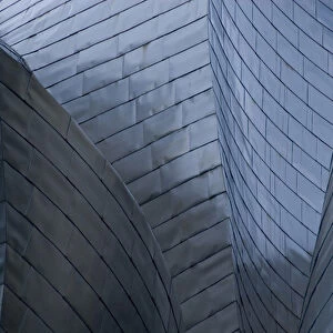 Spain, Bilbao. Guggenheim Museum designed by architect Frank Gehry, reflective titanium