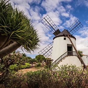 Spain, Canary Islands, Fuerteventura Island, Antigua, traditional island windmill