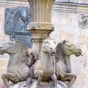 Spain, Santiago. Horseheaded fountain near Cathedral Santiago de Compostela