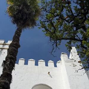 Spain, Seville. Alcazar (aka Reales Alcazares), Moorish / Mudejar fortress rebuilt as a palace