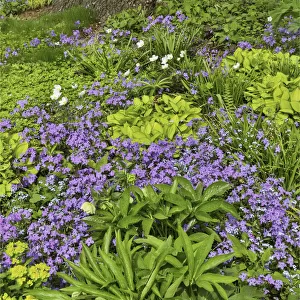 Spring colors, Chanticleer Garden, Wayne, Pennsylvania