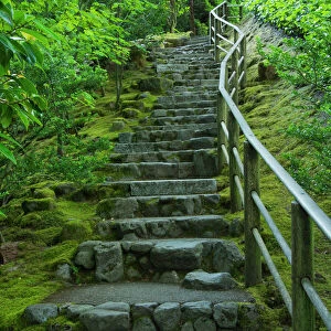 Stairs, Summer; Portland Japanese Garden; Portland; Oregon; USA