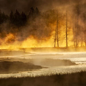 Steaming Madison River at sunrise, Yellowstone National Park, Wyoming