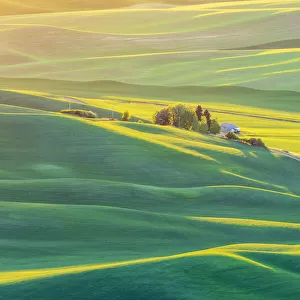 Steptoe Butte State Park, Washington State, USA. Sunset view of wheat fields in