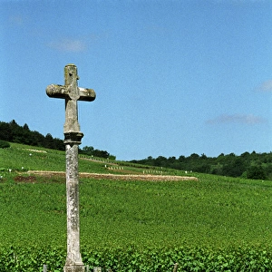 The stone cross marking the Romanee Conti and Richebourg vineyards of Domaine de