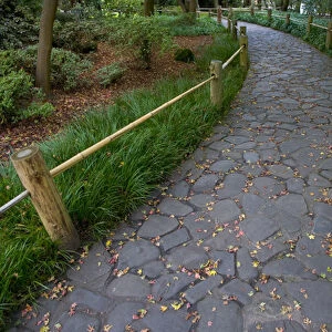 Stone Pathway in the Japanese Gardens Golden Gate Park, San Francisco California
