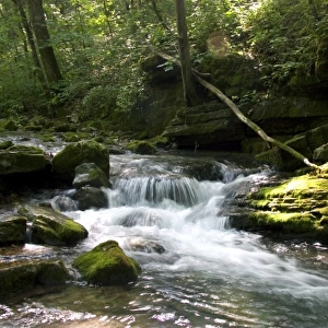 Stream flowing out of Blanchard Cavern in the Ouachita National Forest of Arkansas