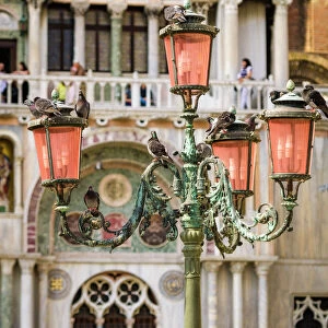 Street lamp at Basilica San Marco (Saint Marks Cathedral), Venice, Veneto, Italy