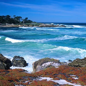 A stretch of beach along the famed Seventeen Mile Drive on Californias Monterey Peninsula