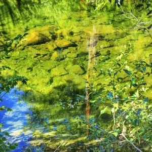 Summer Colors Green Blue Reflection Wenatchee River Reflections Stevens Pass Leavenworth Summer Colors Green Blue Reflection Wenatchee River Reflections Stevens Pass Leavenworth