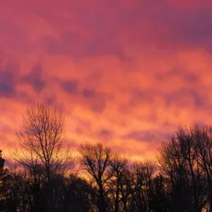 Sunrise silhouette, Grand Teton National Park, Wyoming USA