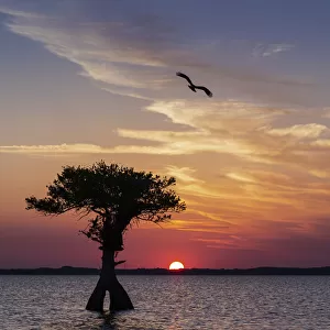 Sunset on Blue Cypress Lake Conservation Area, Vero Beach, Florida