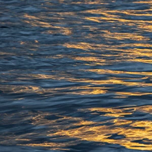 Sunset light on waters off Santa Cruz Island, Galapagos Islands, Ecuador