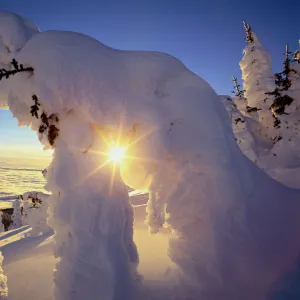 Sunset thru the Snowghosts at Big Mountain near Whitefish Montana