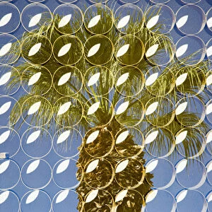 Superimposed image over plam trees, Palm Springs, California, USA