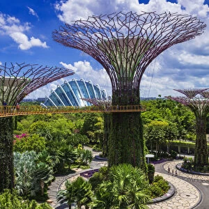 The Supertree Grove and Cloud Forest Dome from the OCBC Skyway, Gardens by the Bay