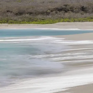 Surf pattern washing up on white sandy beach, Espanola Island, Galapagos Islands, Ecuador