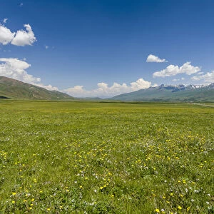 The Suusamyr plain, a high valley in Tien Shan Mountains, Kyrgyzstan