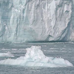 Svalbard, Nordaustlandet Island. A small iceberg that calved from the glacier provided