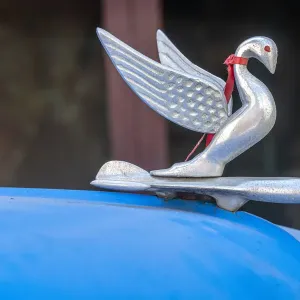Classic Packard Swan Hood Ornament Print Classic Packard Swan Hood Ornament Print