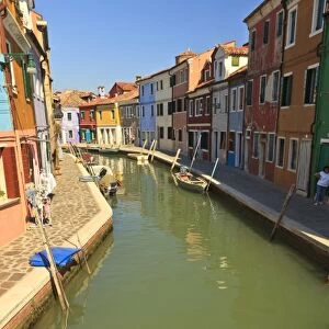 Swans in canal, Burano Island, Lagoon Tour near Venice, Italy, Europe