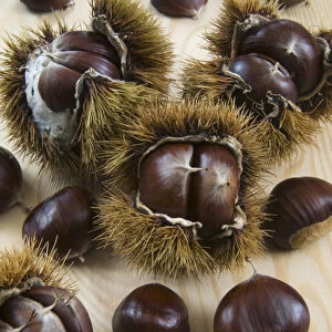 Sweet Chestnuts with and without the spiny shell
