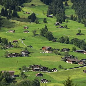 Switzerland, Bern Canton, Grindelwald, Apline farming community