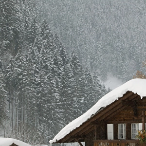 SWITZERLAND-Bern-GRINDELWALD: Ski Chalet / Winter